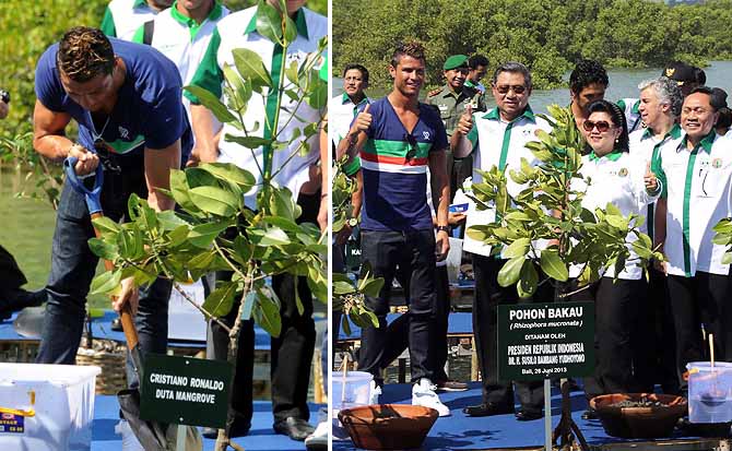 Ronaldo Pamer Otot Saat Tanam Pohon Mangrove di Bali